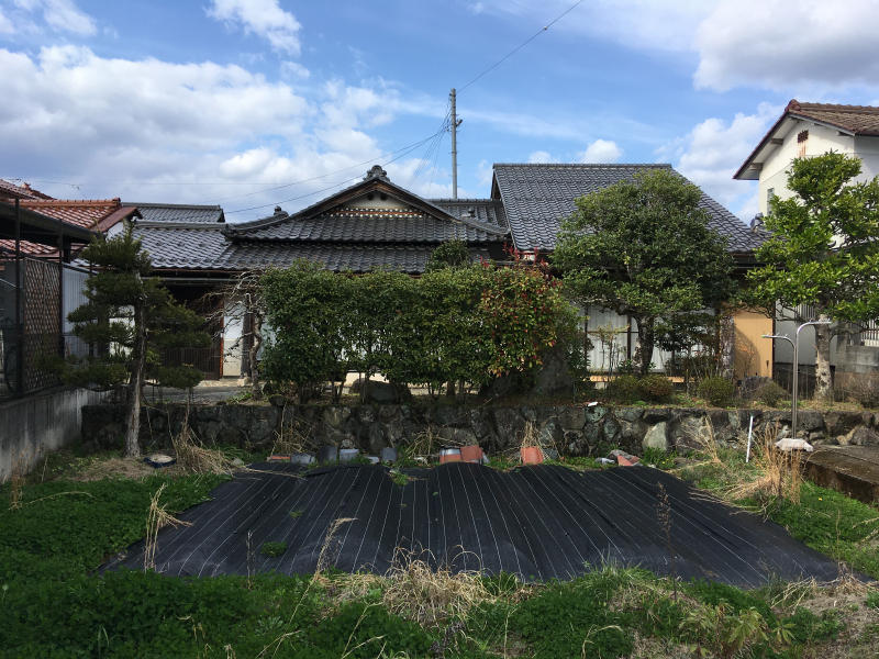 1097画像