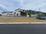 sq n 1100~